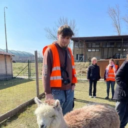 Obrázek WhatsApp, 2025-03-28 v 19.42.45 90a948f3